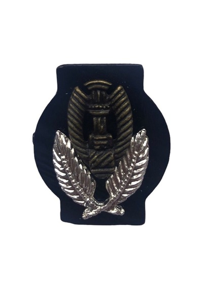 Apolet Yaka Iğnesi Rozet