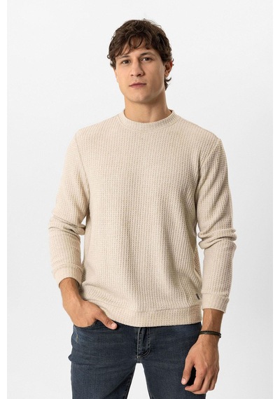 Backandbond Bej Regular Fit Desenli Bisiklet Yaka Sweatshirt