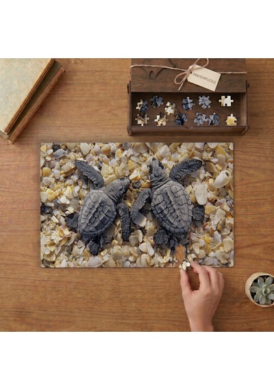 Yavru Deniz Kaplumbağaları Tasarımı 240 Parça Ahşap Puzzle Ahşap Kutuda Mpy60134