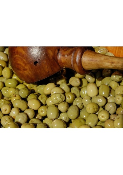 Tüplü Halhalı Zeytin Fidanı 4 Yaş
