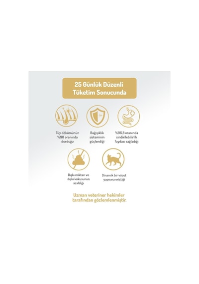 Felicia Urinary Care Sterilised Somonlu Kısırlaştırılmış Yetişkin Kedi Maması 5kg