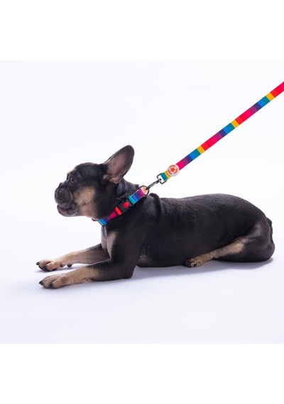 Rainbow Gökkuşağı Desenli Renkli Köpek Boyun Tasması Ayarlanabilir Köpek Tasması S Çok Renkli