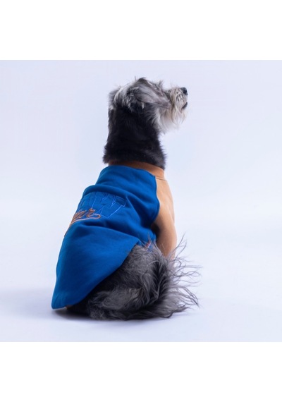 Saks Mavi Boston Pawstar Sweat Köpek Sweatshirt Köpek Sweat Köpek Kıyafeti Kedi Kıyafeti Saks Mavi Boston Pawstar Sweat Köpek Sweatshirt Köpek Sweat Köpek Kıyafeti Kedi Kıyafeti