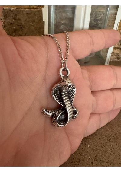 Kobra Figürlü Unisex Kolye 60 Cm Zincirli, Güç Ve Koruma Temalı Tasarım Çok renkli