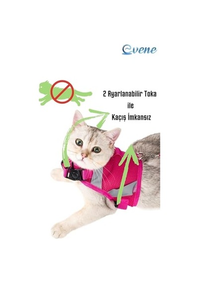 Kedi Tasması Göğüs Boyun Tasma Seti Sevk Kayışlı Terletmeyen Nefes Alan Reflektörlü Tasma M, Pembe