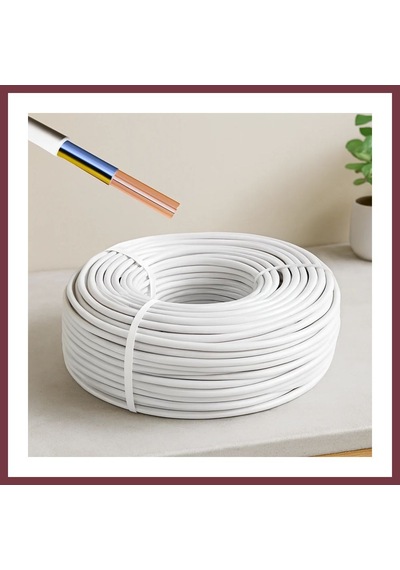 Storeşahin Ttr Cca Kablo 2x2.5 Mm² 100 M Shn0720