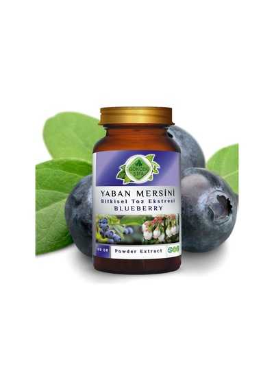 Gökçek Şifa Yaban Mersini Blueberry Toz Ekgerginliki 100 Gr Cam Kavanoz