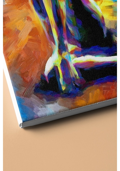 Webstyle Sayılarla Boyama Seti Kasnaklı Egzotik Kadın 60 X 75 Cm