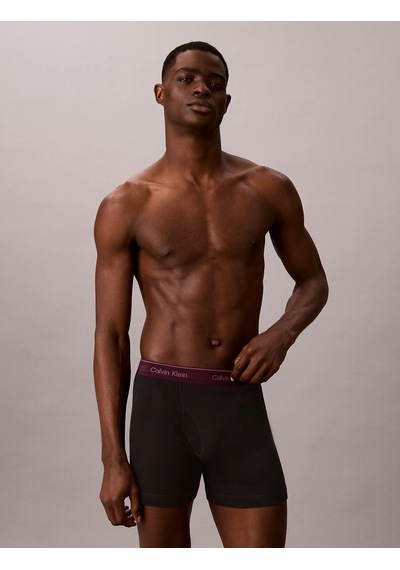 Calvin Klein Erkek Marka Logolu Günlük Kullanıma Uygun Mavi Boxer Lv00nb1429 64q