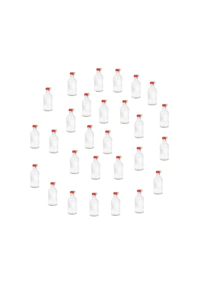 Cam Mühürlü Kapaklı Akaryakıt Numune Alma Şişesi 1 Litre 20 Adet