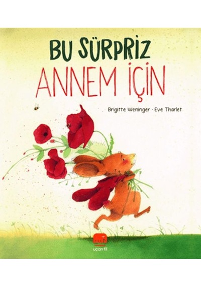 Bu Sürpriz Annem İçin - Ccgx-878667
