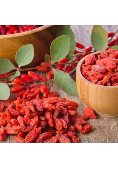 Aşılı Goji Berry Fidanı Kurt Üzümü