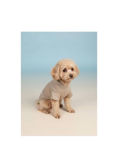 Kapüşonlu Kedi Köpek Kıyafeti Sweatshirt Hoodie Evcil Hayvan Giysisi