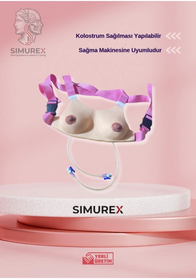 Meme Muayene Ve Emzirme Maketi