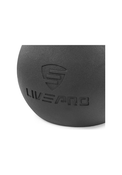 Lp8047 24 Kg Ballbell Dambıl