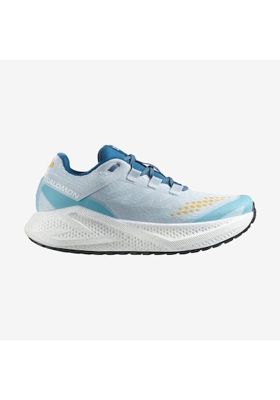 Salomon Aero Glıde 3 Grvl Erkek Koşu Ayakkabısı L47811800 Çok Renkli