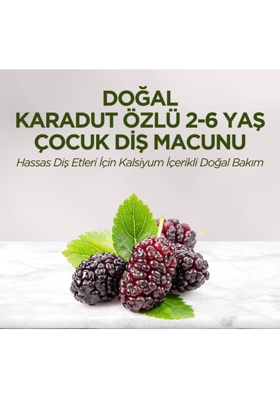 Doğal Karadut Özlü Diş Macunu 2-6 Yaş 60 Ml