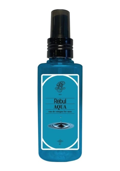 Rebul Aqua-ıce-dark Spice-pine Forest Plastik Şişe 125ml Set