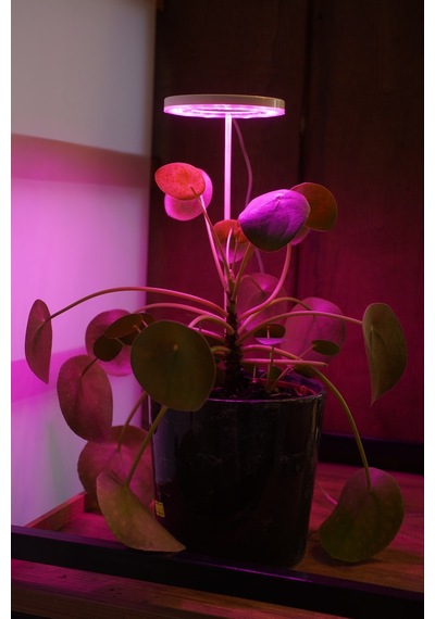 Bitki Led Lamba 5v Usb Tam Spektrumlu Bitki Yetiştirme - Geliştirme Led Aydınlatma - Fullspectrum 8w