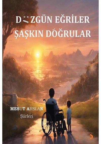 Düzgün Eğriler Şaşkın Doğrular / Mesut Arslan