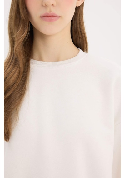 DeFacto Regular Fit Bisiklet Yaka Kalın Basic Düz Sweatshirt D6645AX25SPWT32