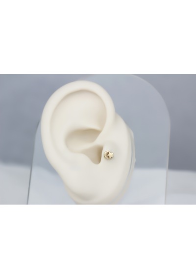 Glorria Altın Ay Yıldız Tragus Piercing Çok Renkli