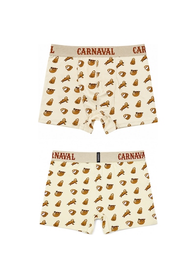 Carnaval Socks Tembel Hayvan Desenli Erkek Boxer Pamuklu Likralı Parlak Lastikli Kutulu Krem Çoklu