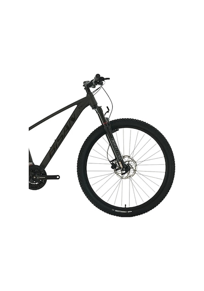 Bisan Bold 8.3 - 26 Jant 13'' 33cm Xs Kadro 24 Vites Dağ Bisikleti - Siyah Çok Renkli