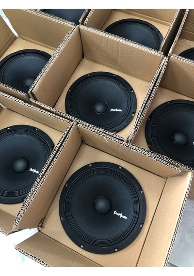 Skull Audio M2-8spl V2 250w Rms 20cm
