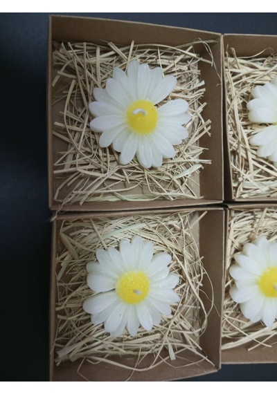 Bernami Mumluk Şamdanpinterest 20 Adet Süslemeli Kutulu Papatya Mum, Nikah Şekeri, Doğum, Bebek Mevlüdi, Baby Shower Diğer