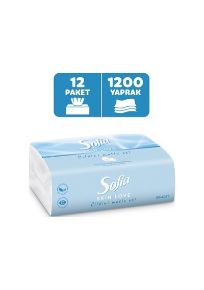 100'lü X 12 Mendil İle Yumuşak Ve Pratik Kullanım