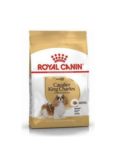 Cavalier Charles Adult Yetişkin Köpek Maması 3 Kg