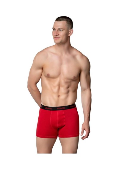 6 Adet Gümüş Erkek Renkli Likralı Spor Boxer 3074 001