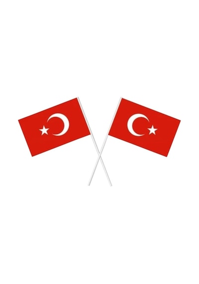 20 Adet Çubuklu Kağıt Ay Yıldız Türk Bayrağı Baskılı Milli Bayrak 20 CM