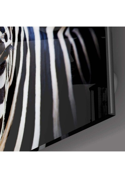 Zebra Cam Tablo