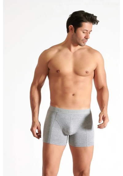 Hepsine Rakip 4 Lü Tutku İç Giyim Pamuklu Likralı Erkek Boxer 0114 Gri