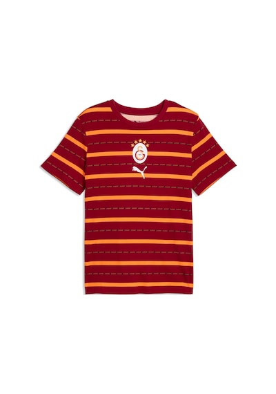 Puma Galatasaray Ftblculture Erkek Tişört 786841 01 Kırmızı