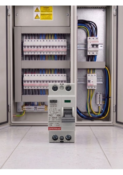 1 Adet Federal 2x40 A 30ma 6ka Kaçak Akım Rolesi Fk2 9fa-h1062-0040