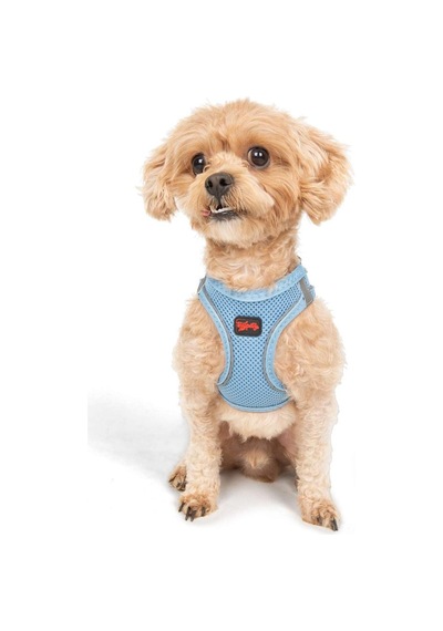 Tailpetz Air-mesh Küçük Ve Orta Irk Kedi Köpek Göğüs Tasması - Yumuşak, Nefes Alabilir, Dayanıklı Mavi, 2xs Sku: Zeusb0829ccdvv Açık Bej - Bej