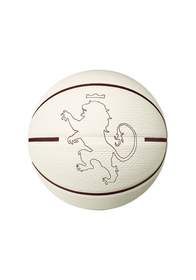 Lebron James Playground 2.0 8p Unisex Beyaz Basketbol Topu N.100.4372.159.07