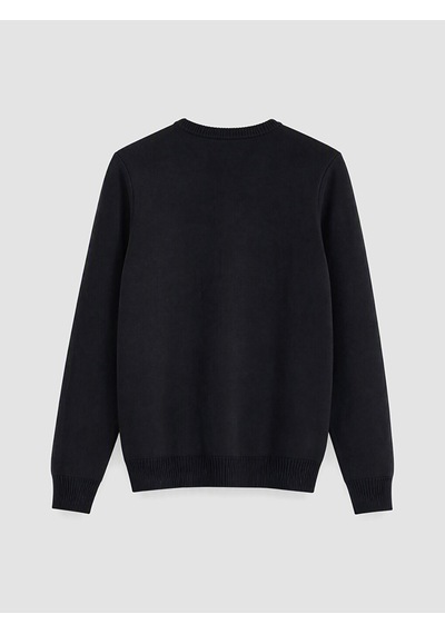 Lcw Vision Siyah Bisiklet Yaka Regular Fit Erkek Triko Kazak