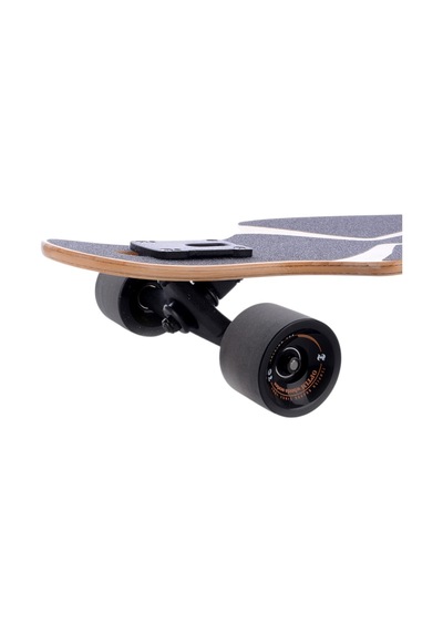 Tempish Frogman Longboard Çok Renkli