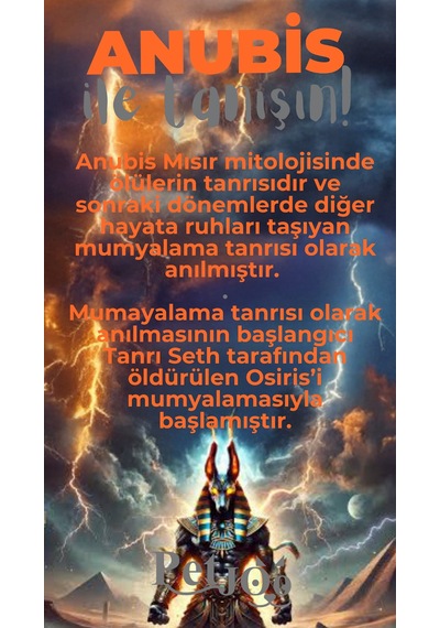 Petjoo 30.Anubis Gri-Turuncu Qr'lı Köpek Künyesi