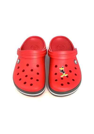 Crocs Terlik Süsü & Renkli Aksesuar Jibbitz (474782468)