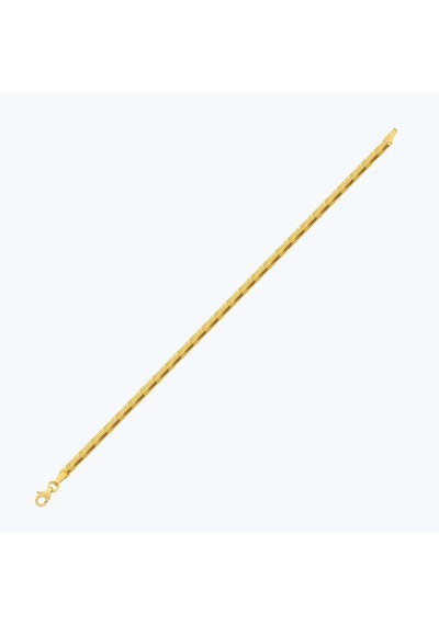 Altınbaş 22 Ayar Altın Zincir Bileklik Bzcbl0001-25641-2 Çok Renkli