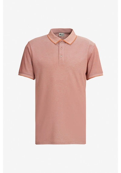 AC&Co / Altınyıldız Classics Erkek Kıremıt-Nar Cıcegı-Mor Çekmeyen Pamuklu Kumaş Slim Fit Dar Kesim 3 'Lü Kıvrılmaz Polo Yaka Tişört Çok Renkli AC&Co / Altınyıldız Classics Erkek Kıremıt-Nar Cıcegı-Mor Çekmeyen Pamuklu Kumaş Slim Fit Dar Kesim 3 'Lü Kıvrılmaz Polo Yaka Tişört Çok Renkli