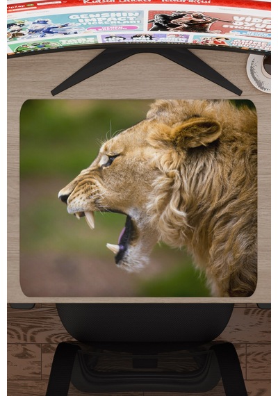 Aslan Kaymaz Dikişli Kauçuk Oyuncu Mousepad V1 - 48x40 Xl Gaming Mouse Pad Fare Altlığı