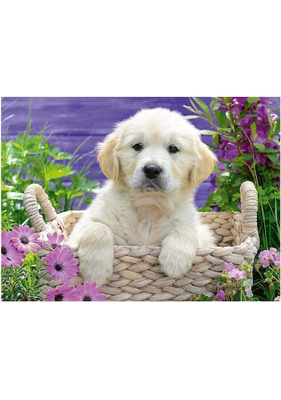 Ravensburger 500 Parça Puzzle Golden Retriever 148295