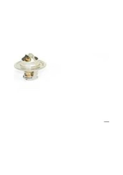 Bsg 90-125-001 Termostat Golf4-bora-polo Classic-passat Ak