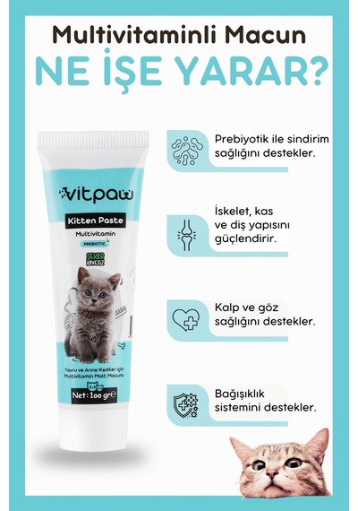 Vitpaw Kitten & Mom Paste